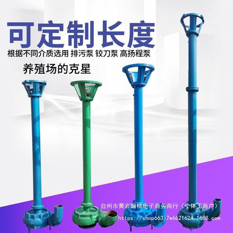 2寸3寸4寸杆泵NWL铸铁排污泵高压带电机泥浆泵抽粪泵化粪池吸粪机