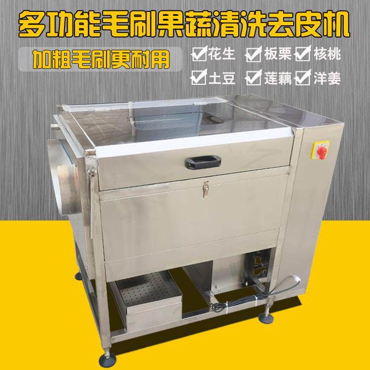 花生清洗机商用大型全自动板栗核桃大枣清洗机新款毛刷红枣清洗机
