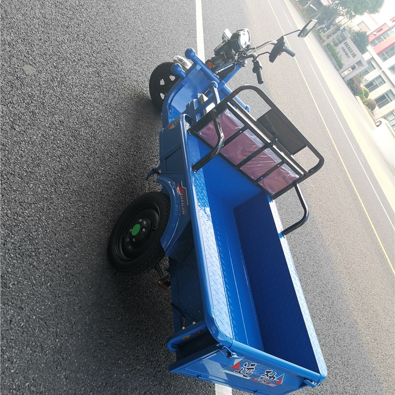 电动三轮车货车货运代步成人新款农用家用载重快递平板三轮电瓶车