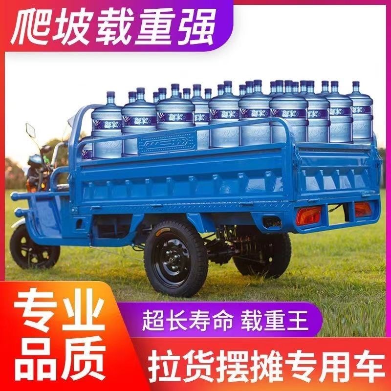 电动三轮车成人货运拉货载重王快递爬坡山区代步车农用摆摊货工厂