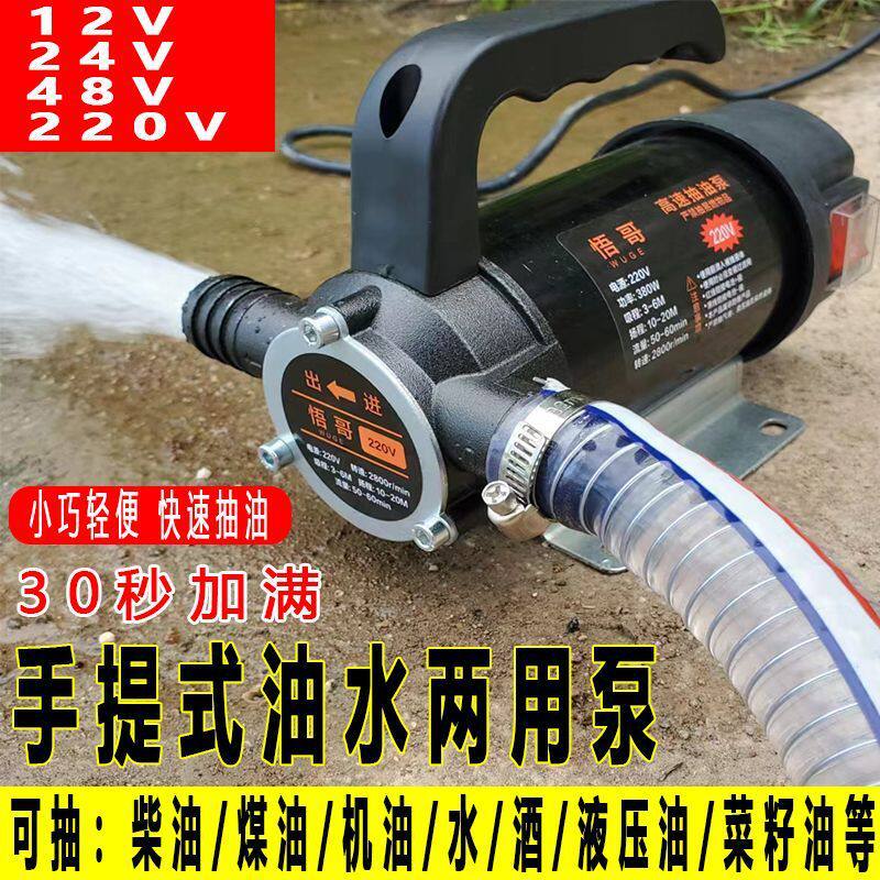 电动抽油抽水两用泵12V24V220V便携手提抽柴油自吸泵正反转大功