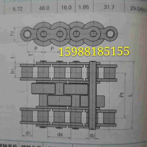 非标倍速链条带特殊滚轮输送链条东华自强12BS3F1 24BF28 24BSF2