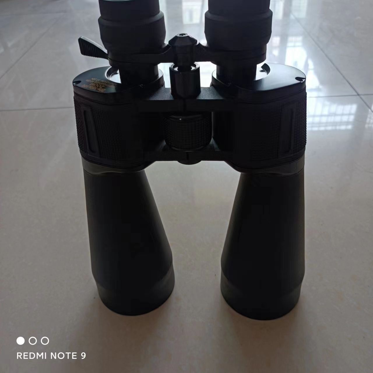 70变倍双筒望远镜看马蜂