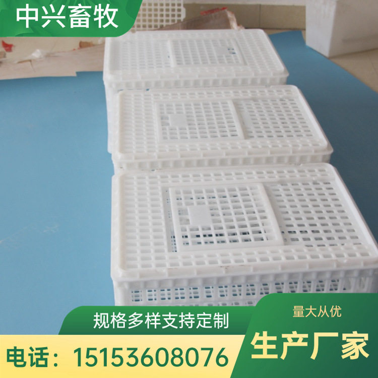批发加大加厚塑料鸡笼方形运鸡筐青年鸡塑料运输筐塑料筐批发