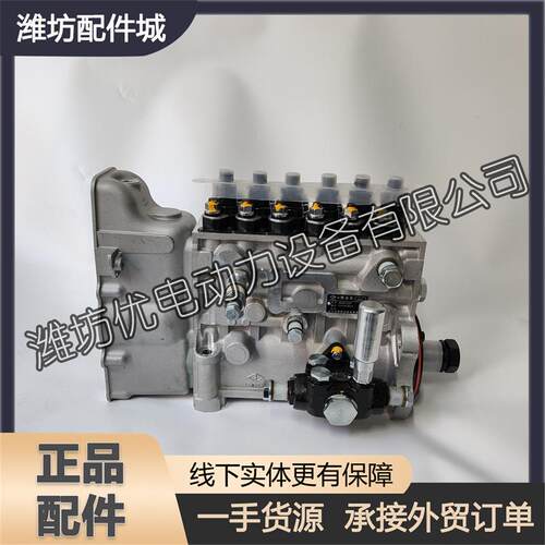 潍柴WP10船用柴油发动机发电机组1003569709ZY电调高压喷油泵总成