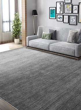 轻奢高级灰色圈绒地毯客厅现代简约沙发茶几垫卧室地X毯家用大面
