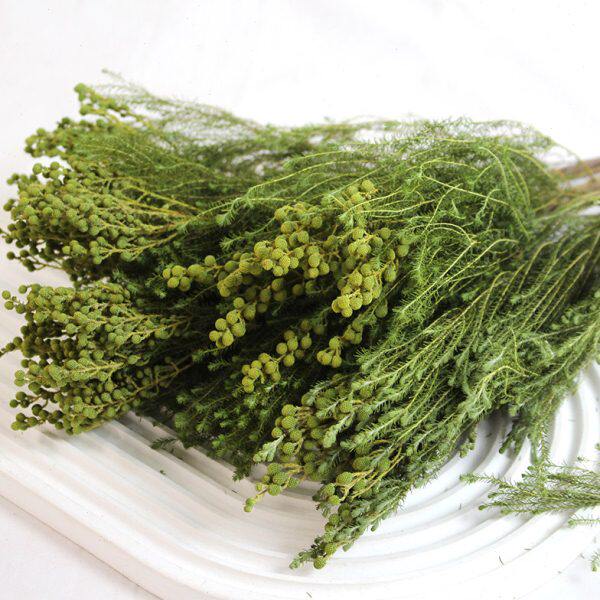 珊瑚干枝真花干花进口花束装饰摆设插花配花干果枝条
