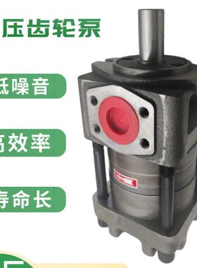 F F 泵232F 16Z3齿轮泵Z-发油G1上海-G2F 12航0内NBNBF 25啮合F 0