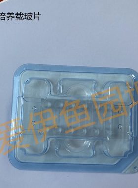 六通道培养载玻片 80606