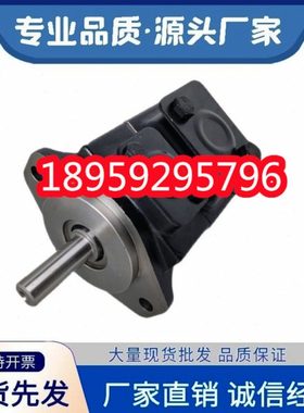 T67BB041R02A1M0VC00丹尼逊DENISON叶片油泵T6C 031 171R03A B C1