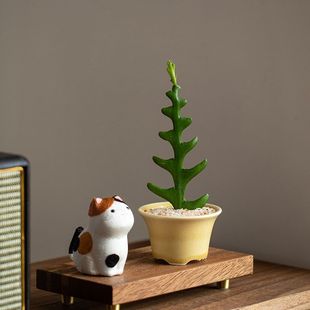 静艺花舍鱼骨令箭仙人掌盆栽办公室内外桌面可爱花卉好养多肉植物