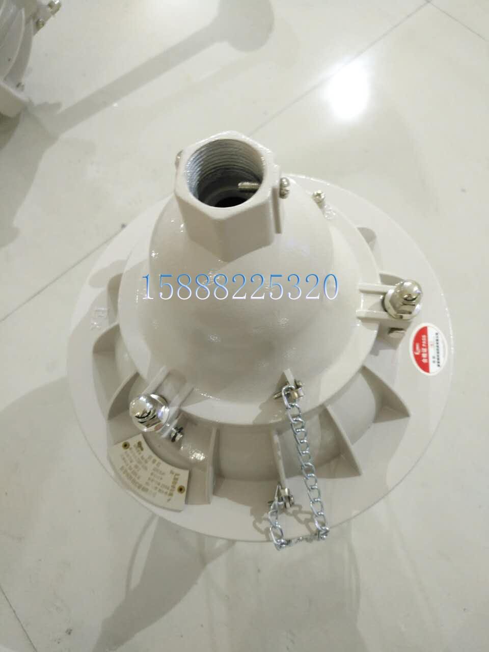 浙江新黎明环保BCd防爆灯100W 250W 防爆灯 BAD51工程防爆灯