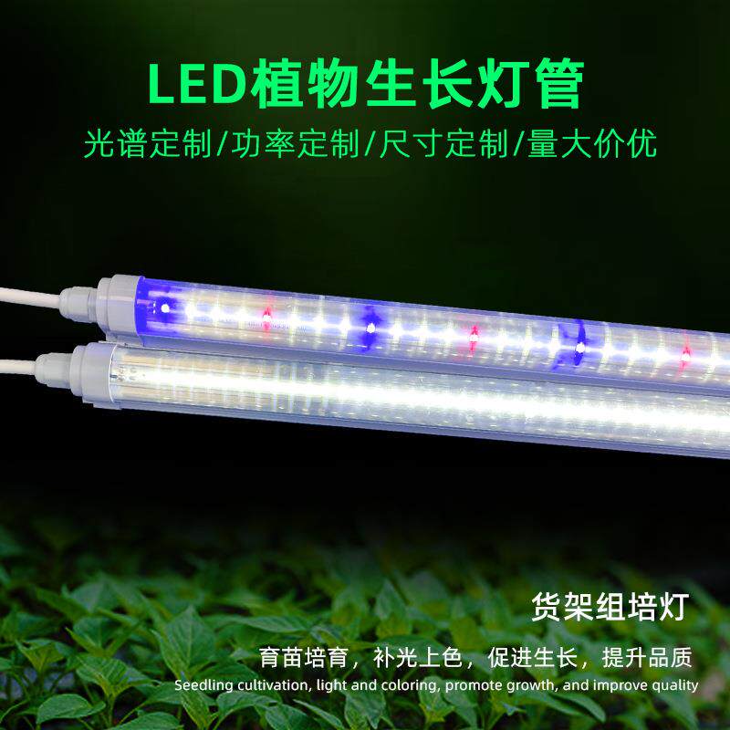 T8植物生长灯管防水1米2红蓝白光蔬菜花卉水培led植物照明灯工厂