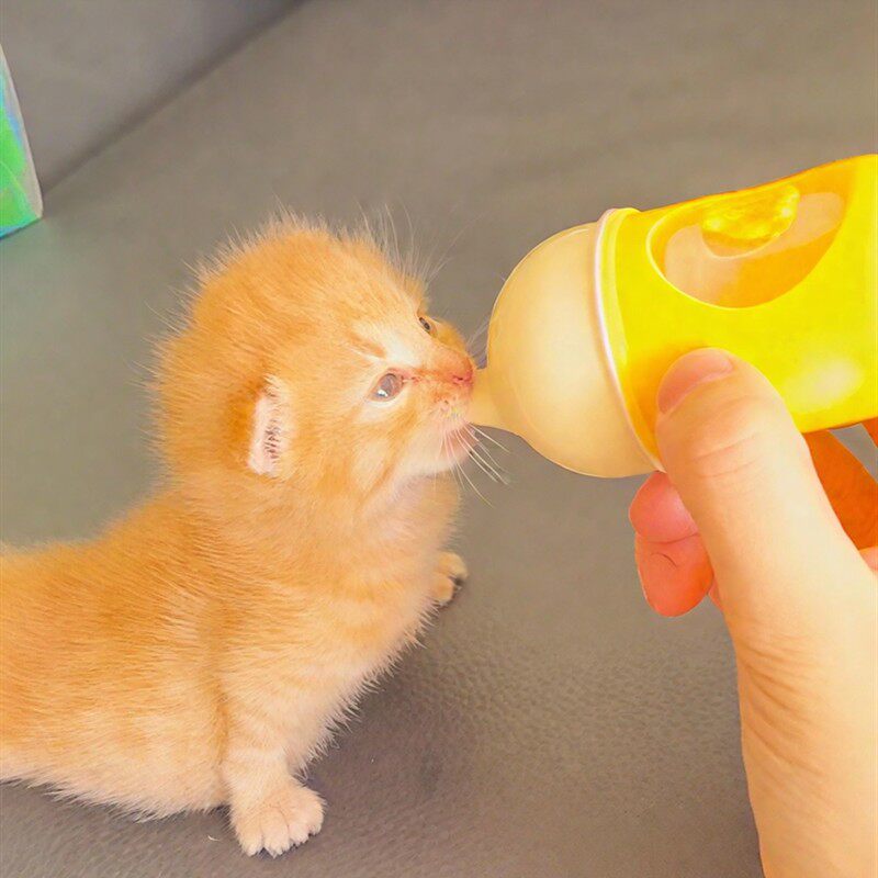 幼猫奶瓶猫咪安抚奶嘴专用喂奶器耐咬防呛宠物幼犬小猫狗狗喂水器