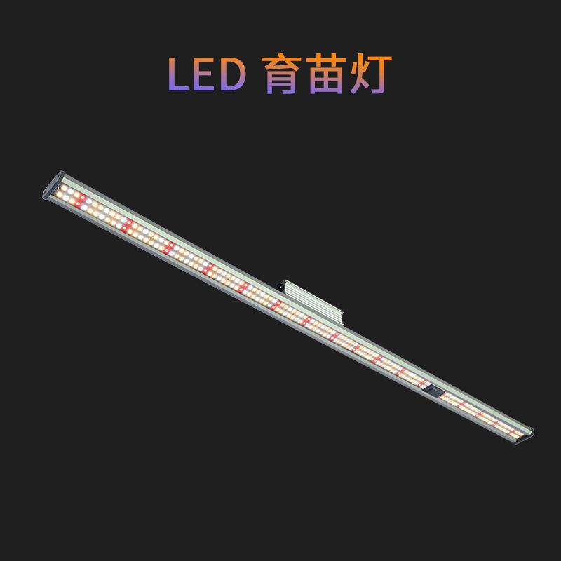 补光led植物灯草莓育苗100w室内种植物生长灯条全光谱跨境光照灯
