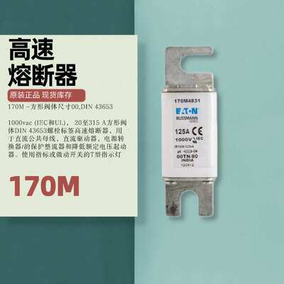 巴斯曼熔断器保险丝170M5138 170M5139 170M5140 170M5141现货