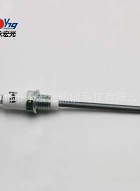 13093-3点火针天时ECLIPSE原装火花塞燃烧器配件感应探针供应商