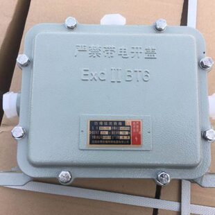防爆电器箱 防爆电器盒 150瓦电器盒 沈阳华荣BAD150