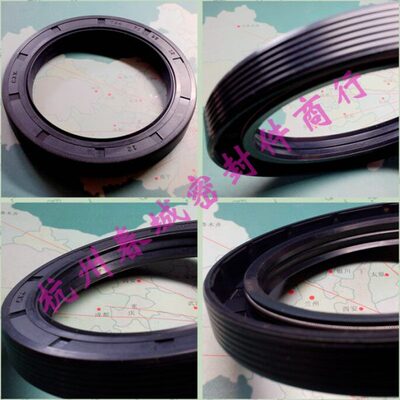 进口TC骨架油封 CTY弹簧轴承密封圈 TG4/TGA-210*240*15 现货