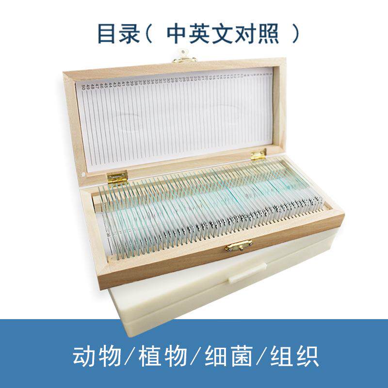 显微镜生物切片动植物组织细菌载玻片套装儿童学生实验用