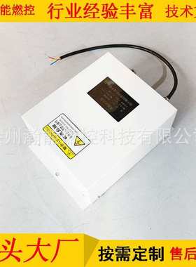 点火电极 C5500l-02-05