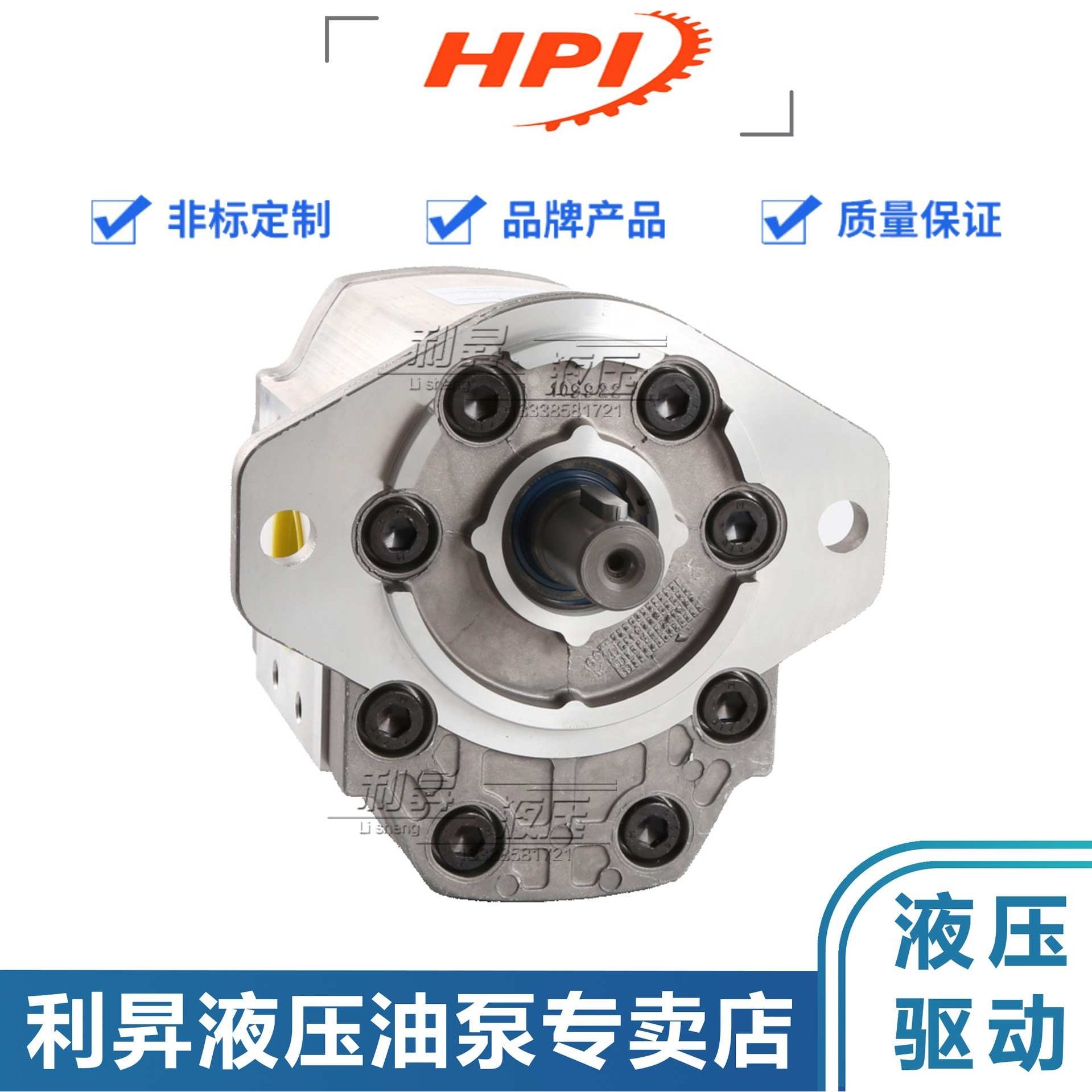 法国HPI液压齿轮泵P1AAN2522HL20A01N P1AAN3060HL20A02N油泵马达