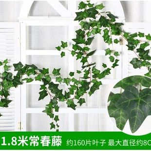 仿真绿植藤条常青藤吊顶装饰花藤墙面管道爬藤植物空调管藤蔓树叶