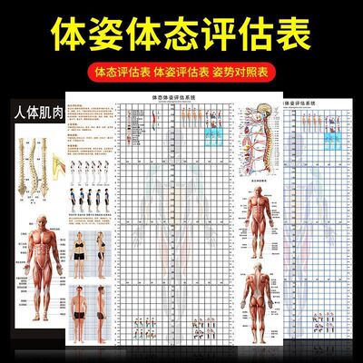 体态评估图健身房体测表瑜伽私教站姿形体脊椎身体修复三维装饰