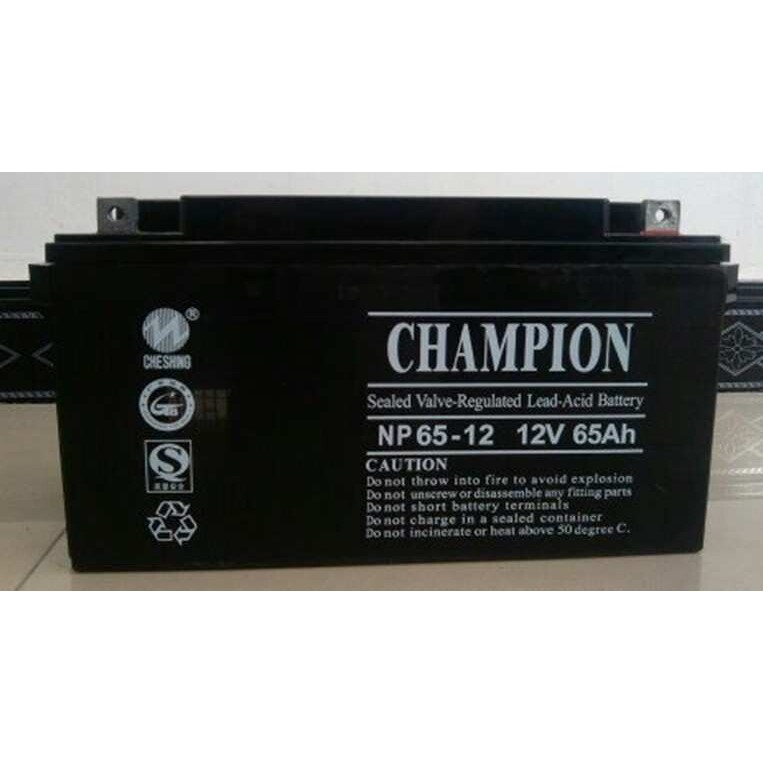 蓄电池 12V70AH 志成蓄电池 NP70-12
