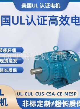 UL 60HZ 220V 220V/380V 415V 440V 460V 480V 575V认证电机