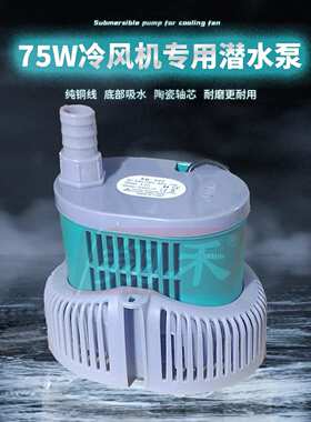 冷风机抽水泵潜水泵EB-666/45W专用水泵220v小型EB-777/75w增压泵