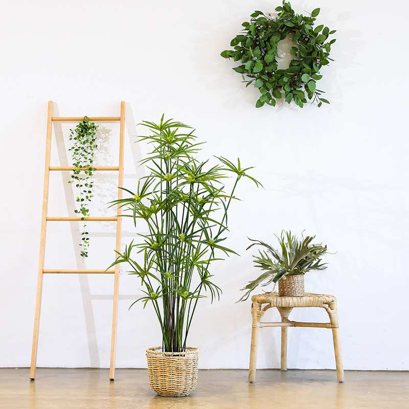 水竹盆栽真绿植室内家居植物摆件装饰品义乌工厂仿真花仿真高仿真