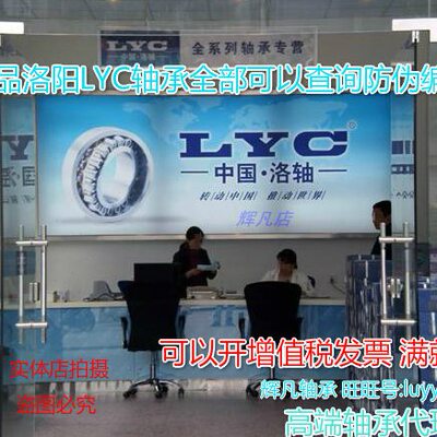 中国洛轴 LYC 高速电机组 6013E-RZ/Z1 6013E/Z1 洛阳轴承