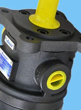 TL叶片泵9F-14F R 5023-F50T-50/1-R/  2650T- 7-7TT20RT50112350