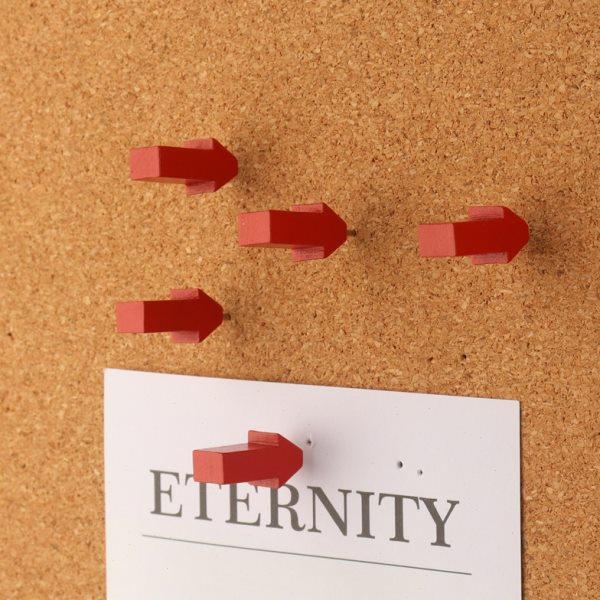 35枚创意箭头木质图钉红色立体地图标注软木板照片墙装饰毛毡按钉,文具电教/文化用品/商务用品,图钉/工字钉,淘宝优惠券,粉丝福利购,淘宝优惠卷