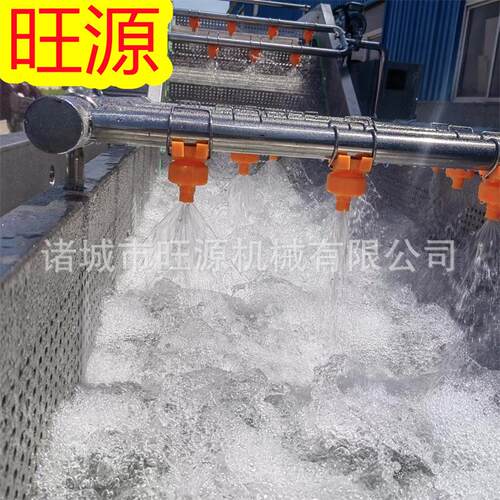 毛豆清洗机 喷淋式蔬菜清洗设备  鼓泡式清洗机 生产厂家电话