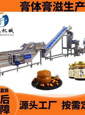 玫瑰阿胶膏浓缩机器苹果泥加工设备黄桃果酱果膏生产线膏体浓缩机
