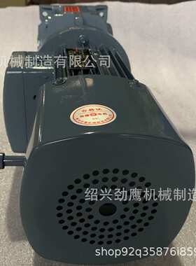 YTC250/YCJ250  斜齿轮 防爆电机 普通轴伸式结构 立式安装