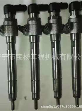 0433172156共轨喷油器0445110443 0433172266喷油嘴总成