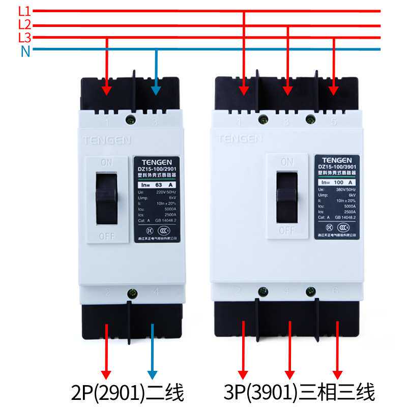 TENGEN天正电气 DZ15-100/3901 2901塑壳断