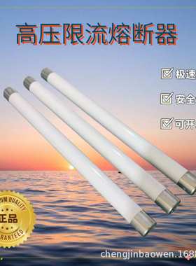 XRNP1-35-40.5KV/0.5A1A2A3A高压断熔断器PT互感器保险陶瓷跨境