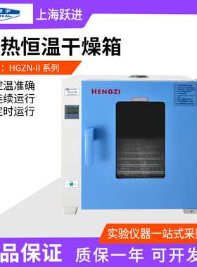 上海跃进 HGZN-72/II-270电热恒温干燥箱实验室烘箱小型工业烤箱