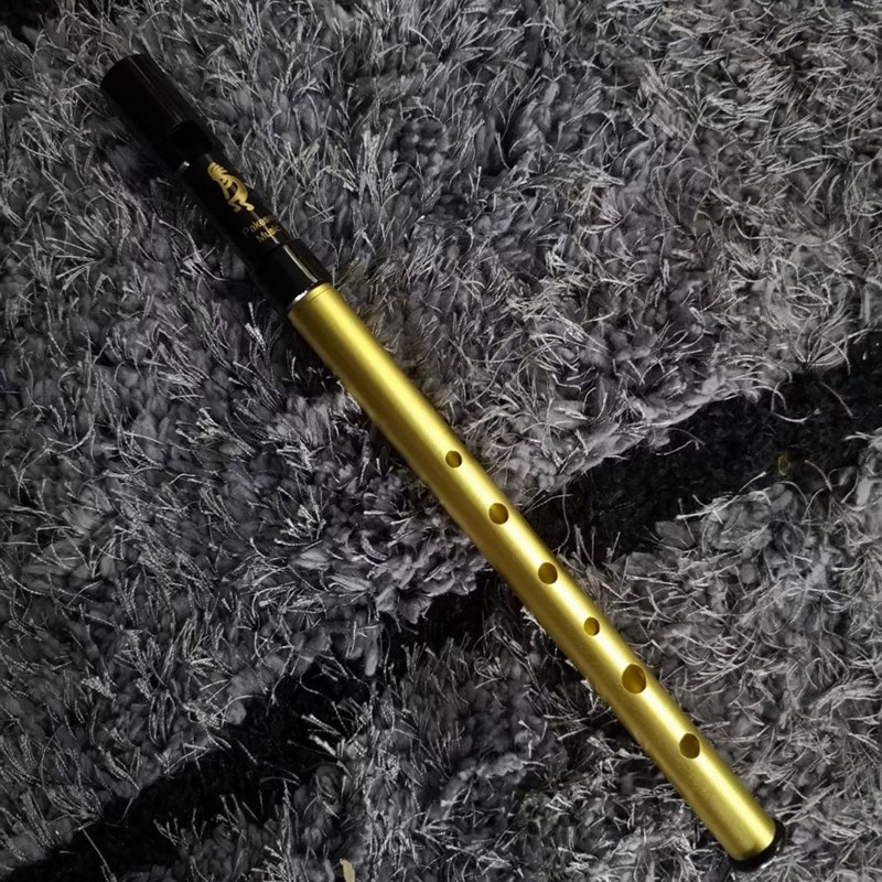 爱尔兰哨笛 笛l子帕克森爱尔兰哨笛D调 6孔直笛