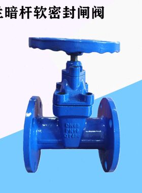 N杆500DN10N软球墨铸铁DN25闸阀DDX法兰0D25002030D暗Z45密封N1N1