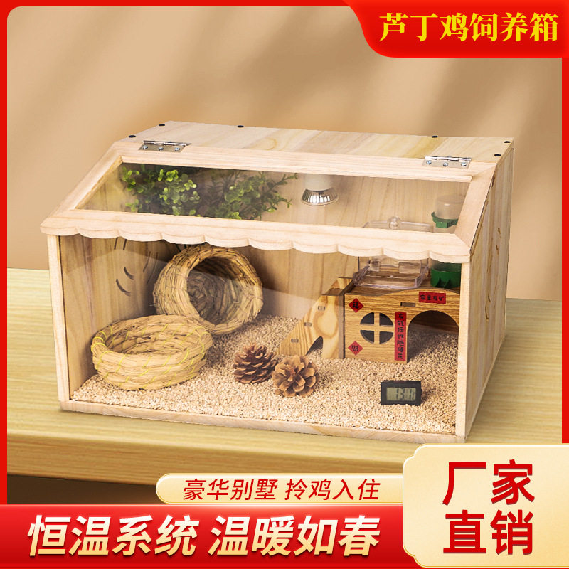 批发雏鸡鹌鹑保温饲养箱