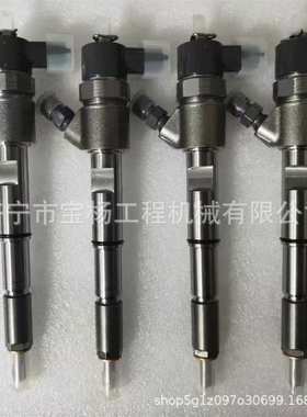 0445110541共轨喷油器0433172351 0445110821喷油嘴总成