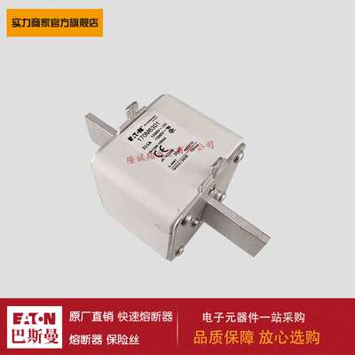 熔断器170M6281 170M6299 170M6301 170M6303 170M6325 170M6376
