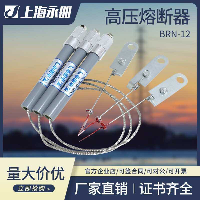 高压并联电容器BR2 BRN BRW-10-12KV25A熔断器管保险丝48A60A100A