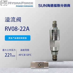 插装阀RV08-22A溢流阀RV10-22A直动式溢流阀RV58-22A插阀RV08-22A