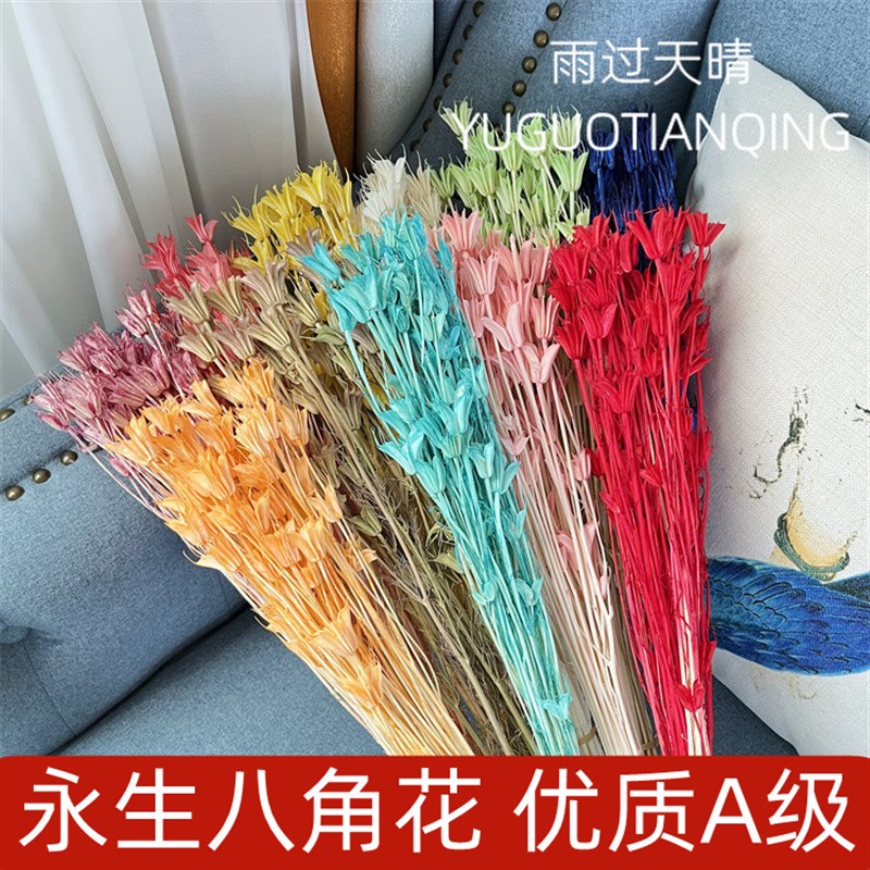 八角花干燥花森系复古插花材料包自然E田园树枝装饰品花篮插花家